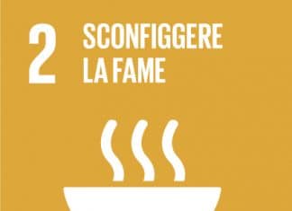 SDG 2 SCONFIGGERE LA FAME