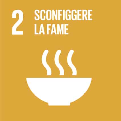 SDG 2 SCONFIGGERE LA FAME