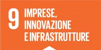 SDG 9 IMPRESE INNOVAZIONE E INFRASTRUTTURE