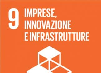 SDG 9 IMPRESE INNOVAZIONE E INFRASTRUTTURE