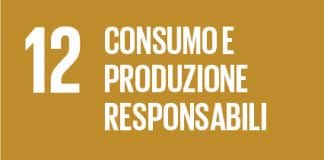 SDG 12 CONSUMO E PRODUZIONE RESPONSABILI