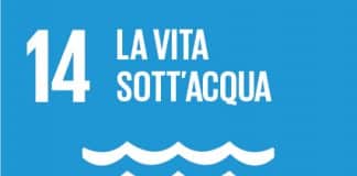 SDG 14 LA VITA SOTT'ACQUA