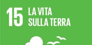 SDG 15 LA VITA SULLA TERRA