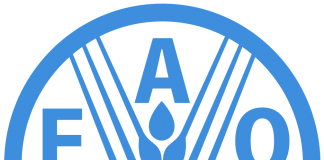 LOGO FAO