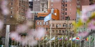 UN View & Flag