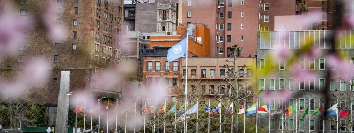 UN View & Flag