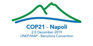 cop 21 BANNER