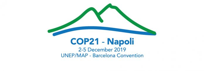 cop 21 BANNER