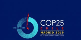 logo cop25