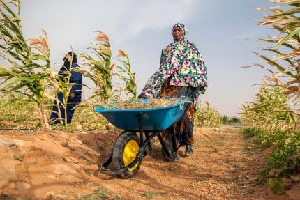 Agriculture