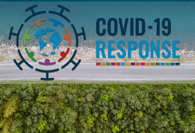 WTO and COVID-19