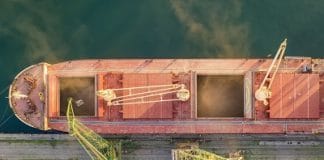 Large ship loading grain for export