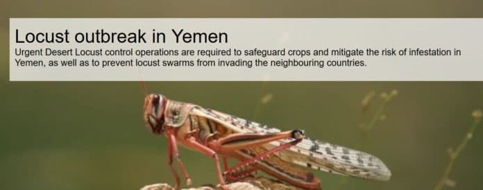 Yemen