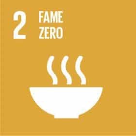 SDGs: Fame zero