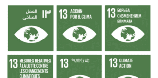 SDG 13 Azione Climatica