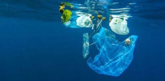 Rifiuti di plastica in mare