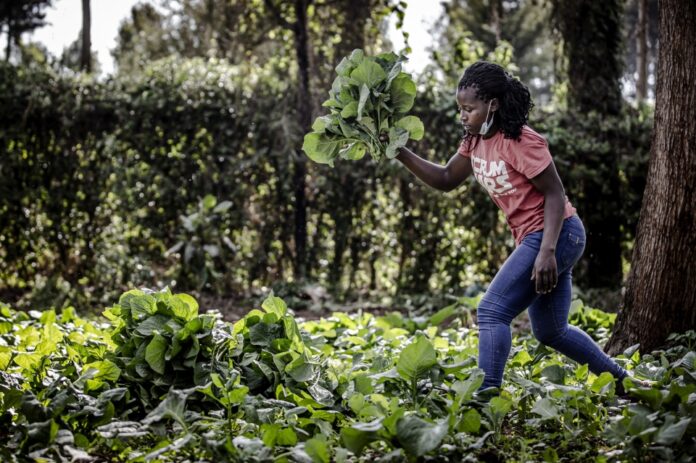 Food-agriculture