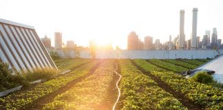 Rooftop farm