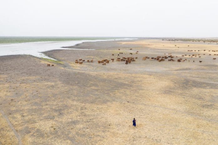 Mauritania landscape