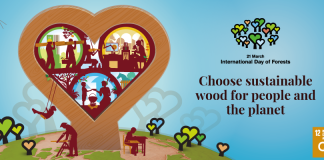 International Day of Forests