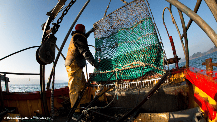 Pescatore con rete