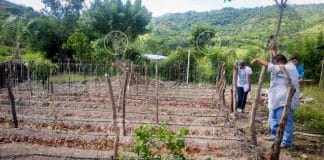 Honduras - FAO irrigation system.FAO is supporting the countries of the Dry Corridor in Central America to increase the resilience of households, communities and institutions to prevent and address disaster risks that affect agriculture and food and nutrition security in a timely and efficient manner.