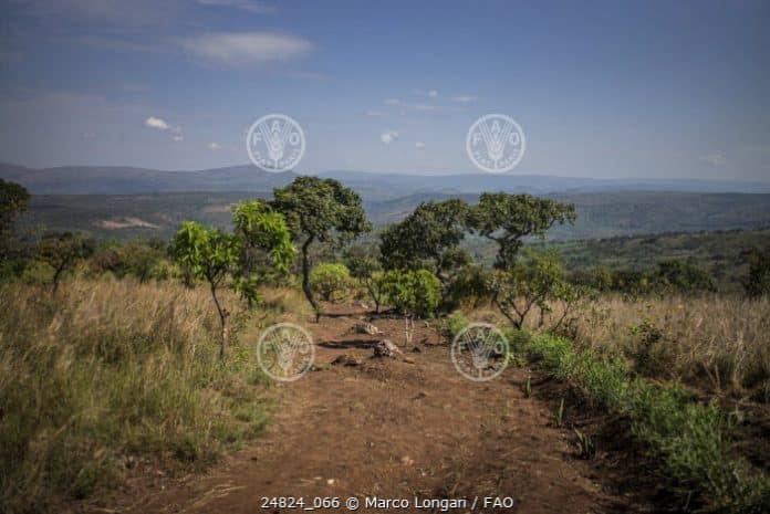 Transboundary Agro-ecosystem Management Programme for the Kagera river basin (Kagera Tamp)