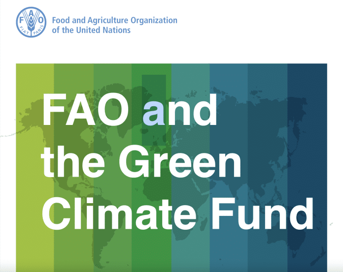 This is a cover picture of the brochure, that summarizes FAO's work with GCF