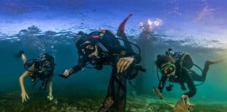 Giornata Mondiale degli Oceani dell’ONU/Rosie Leaney Sommozzatori a tempo libero ripuliscono dalla plastica inquinante nel mare vicino alla città di Sydney, in Australia.