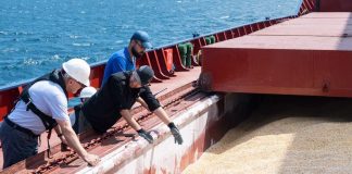 Una squadra di ispezione civile congiunta composta da funzionari di Russia, Turchia, Ucraina e ONU visita una nave mercantile nell'ambito dell'Iniziativa del Mar Nero.