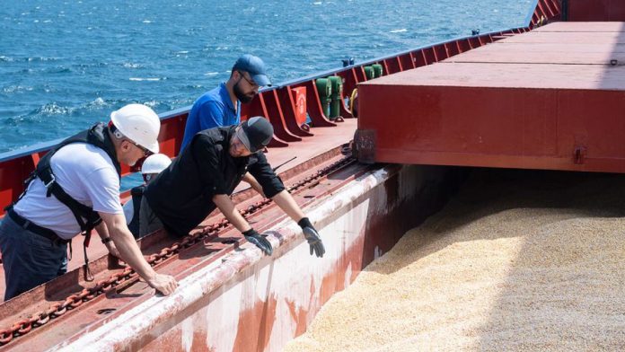 Una squadra di ispezione civile congiunta composta da funzionari di Russia, Turchia, Ucraina e ONU visita una nave mercantile nell'ambito dell'Iniziativa del Mar Nero.