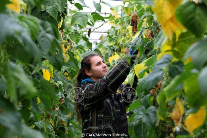 Jana AL-Houri, una ragazza di 19 anni, laureata in SSL, a Beit AL hosh - Bebnine AKKAR, Libano settentrionale. Jana si prende cura del suo terreno agricolo