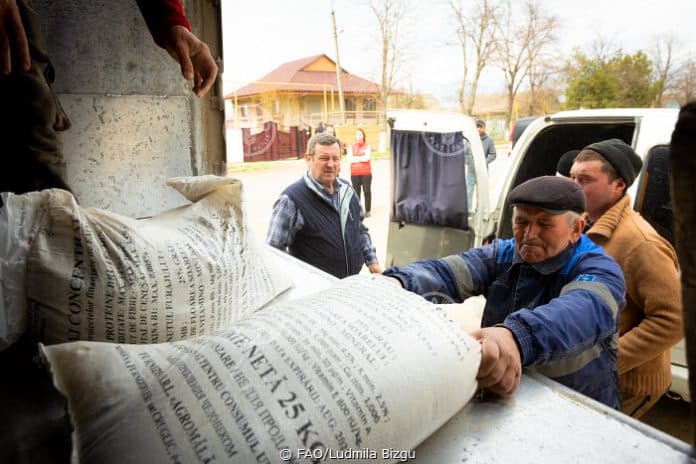 Villaggio di Zirnesti, Cahul rayon, Repubblica di Moldova