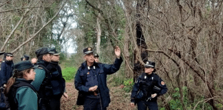 carabinieri nella foresta