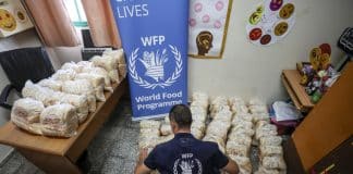 Distribuzione di cibo da parte del WFP in una scuola dell'UNRWA che è un rifugio designato in tempi di emergenza. La scuola si trova nel governatorato di Gaza e ospita più di 60 famiglie sfollate (750 persone) che sono state costrette a fuggire dalle loro case per la loro sicurezza e sopravvivenza. Queste famiglie hanno evacuato le loro case senza cibo, vestiti o qualsiasi altra fonte di sostentamento, salvando solo le loro vite.