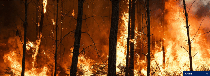 La comunità sanitaria mondiale chiede un'azione urgente su clima e salute alla COP28