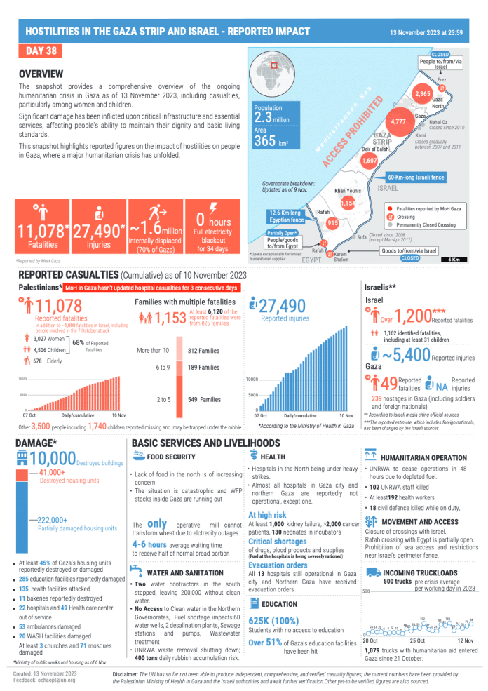 L'infografica fornisce una panoramica completa della crisi umanitaria in corso a Gaza al 13 novembre 2023