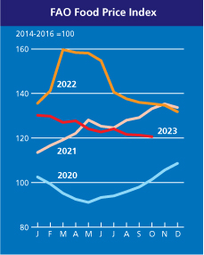 Indice FAO dei prezzi alimentari in calo ad ottobre. Calano le quotazioni internazionali di riso, grano, olio di palma e carne suina.