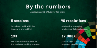 Il massimo organo decisionale ONU in materia ambientale si riunisce a Nairobi alla fine di febbraio
