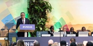 L'UNEA-6 accende i riflettori sul multilateralismo ambientale