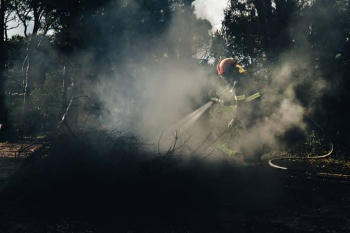 Nel Mediterraneo, le temperature roventi e la siccità che dura da anni stanno aumentando il rischio di incendi, con conseguenze potenzialmente catastrofiche per gli ecosistemi e le comunità locali.