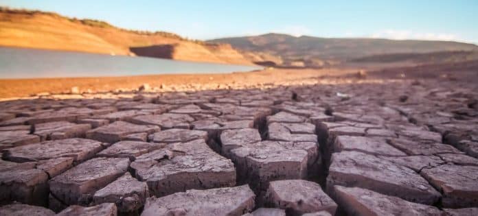 I cambiamenti climatici stanno contribuendo a creare condizioni di siccità in tutto il mondo.