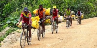 I commercianti del Madagascar, uno dei Paesi più sottosviluppati dell'Africa, trasportano il carbone di legna al mercato.