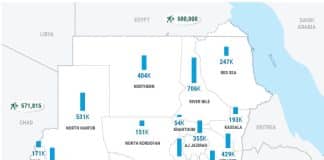 Sudan: Un anno di conflitto - Fatti e cifre chiave - Infografica (15 aprile 2024)