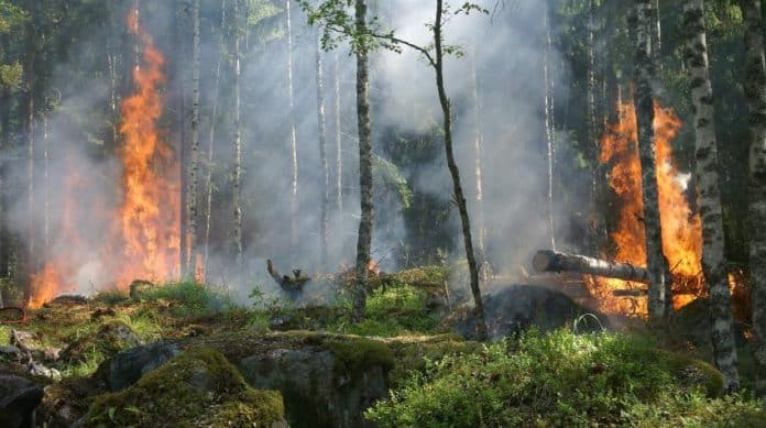 Gli esperti della Convenzione UNECE sull'aria per modellare l'impatto degli incendi sull'inquinamento atmosferico.