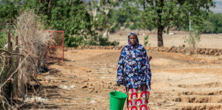 RAPPORTO SUI PUNTI CALDI DELLA FAME: LA CARESTIA INCOMBE A GAZA MENTRE IL RISCHIO DI FAME PERSISTE IN SUDAN, HAITI, MALI E SUD SUDAN