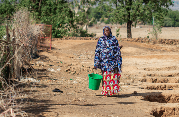 RAPPORTO SUI PUNTI CALDI DELLA FAME: LA CARESTIA INCOMBE A GAZA MENTRE IL RISCHIO DI FAME PERSISTE IN SUDAN, HAITI, MALI E SUD SUDAN