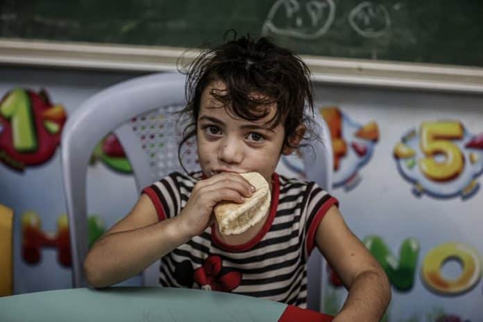 L'iniziativa umanitaria italiana Cibo per Gaza sostiene gli sforzi per alleviare la fame nella Striscia