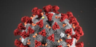 afbeelding van het COVID-19-virus