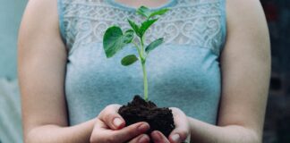 woman-holding-plant